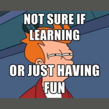 Meme: Not sure if learning or just having fun
